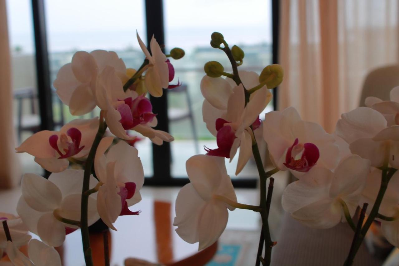 Villa Ocean View And Apartment Da Nang "Free Pick Up" Zewnętrze zdjęcie